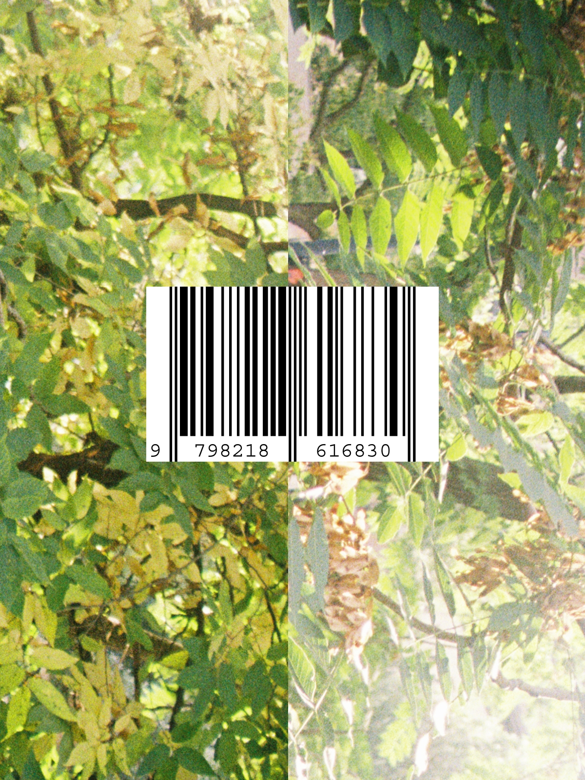 the cover of REPLICATE THIS